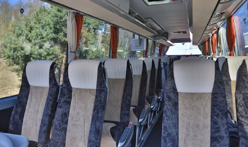 Russia: Coach charter in Central in Central and Myti&scaron;či