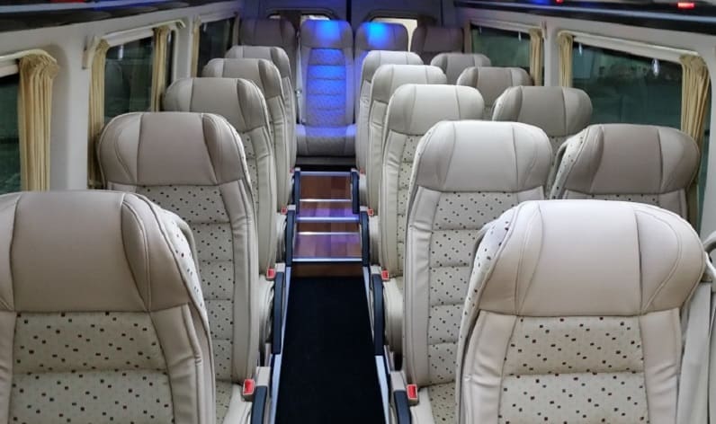 Belarus: Coach company in Mogilev Region in Mogilev Region and Mstsislaw